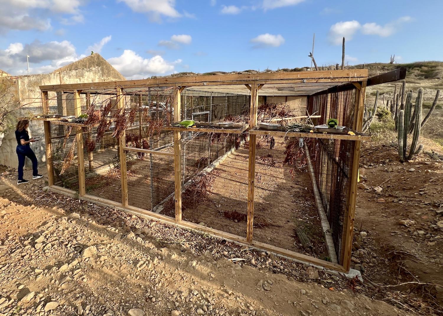 aruba-aviary_built_for_lora_in_parke_nacional_arikok_credit_jennifer_bain
