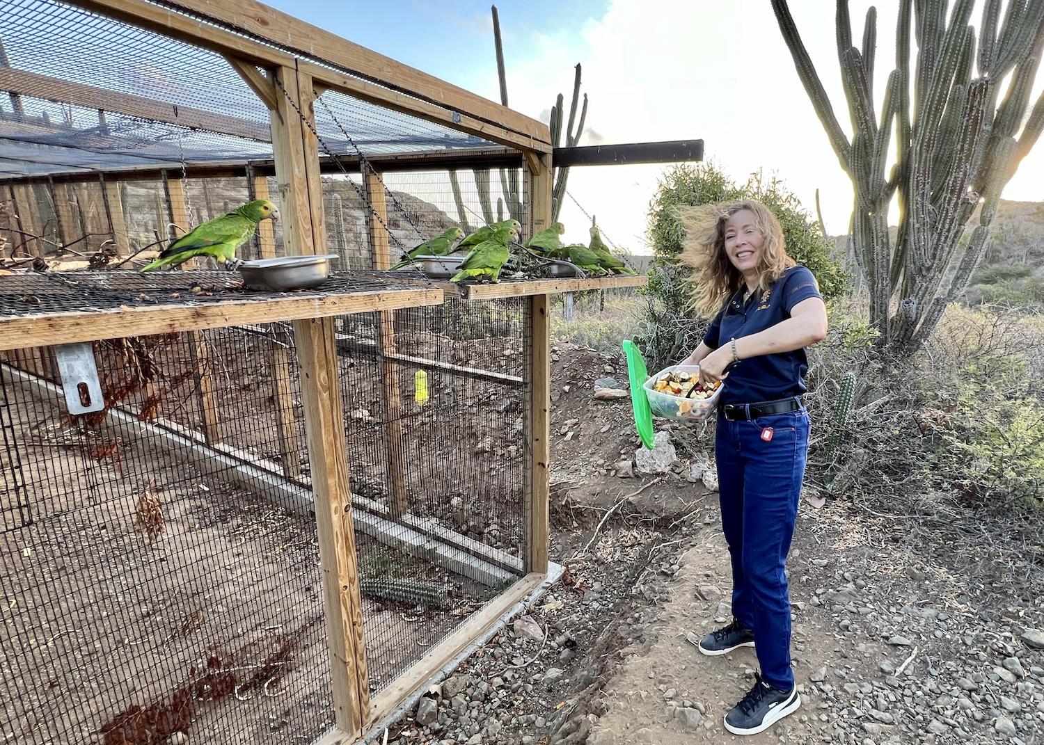 aruba-chief_conservation_officer_natasha_silver_feeds_loras_at_aviary_credit_jennifer_bain