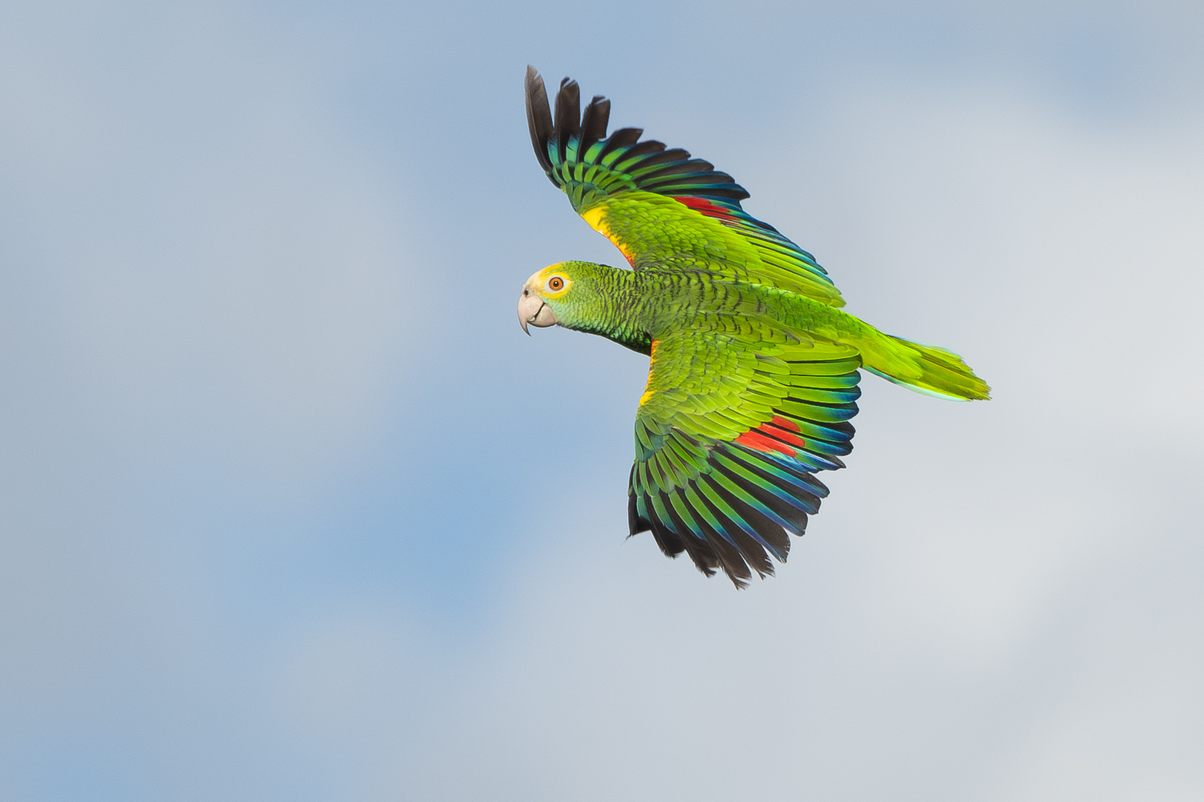 Loras National Park Aruba