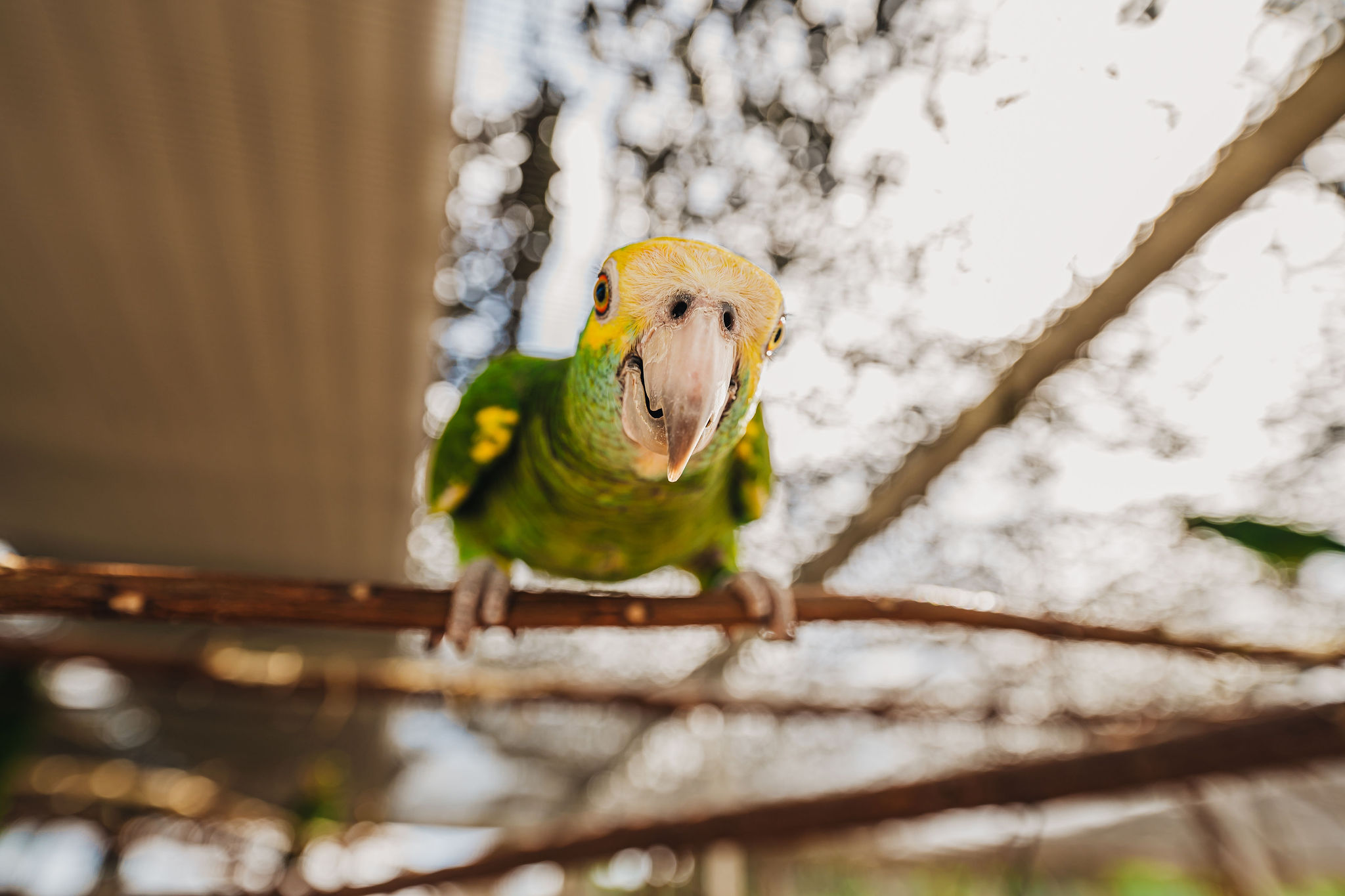 ARTNPHOTOARUBA