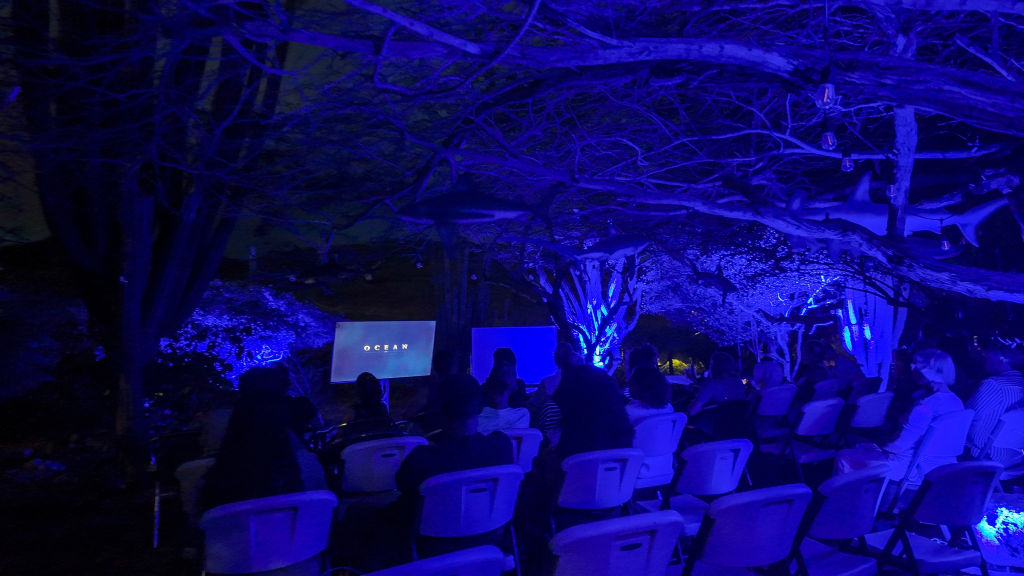 ACF_Hofi_Shoco_oceans