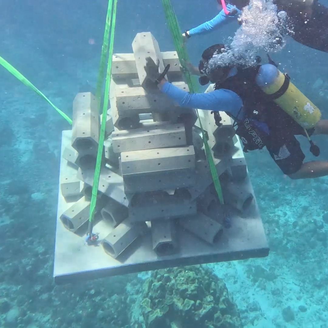 ACF_TtT_Documentary Images (1)